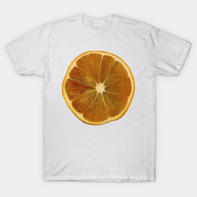 Vintage Orange Slice T-Shirt by ThistleRosep